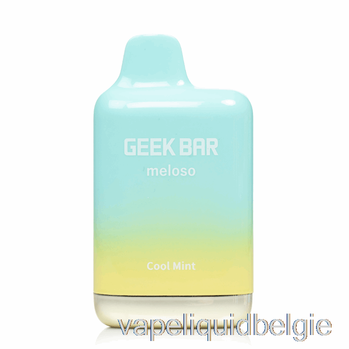 Vape Liquid Geek Bar Meloso Max 9000 Wegwerp Cool Mint